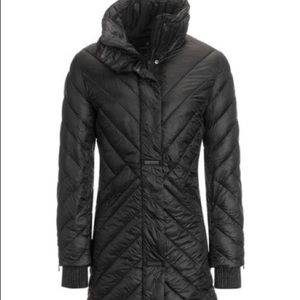 rft rainforest thermolite